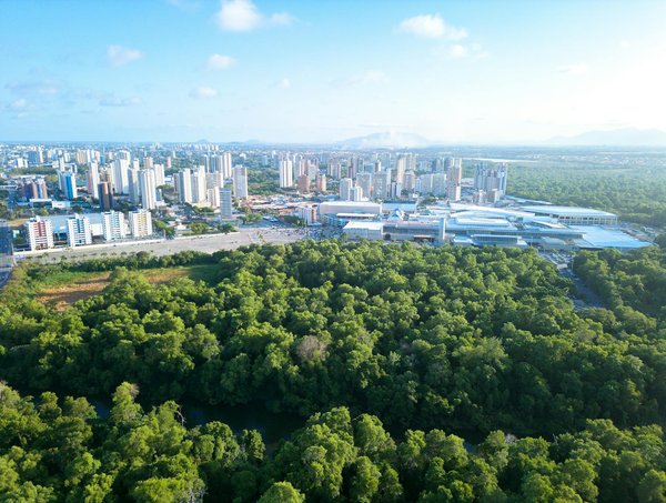 Créer son propre emploi saisonnier: étapes et conseils