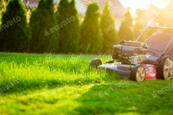 Tondeuses en 2025 : les nouveautés qui feront la différence !